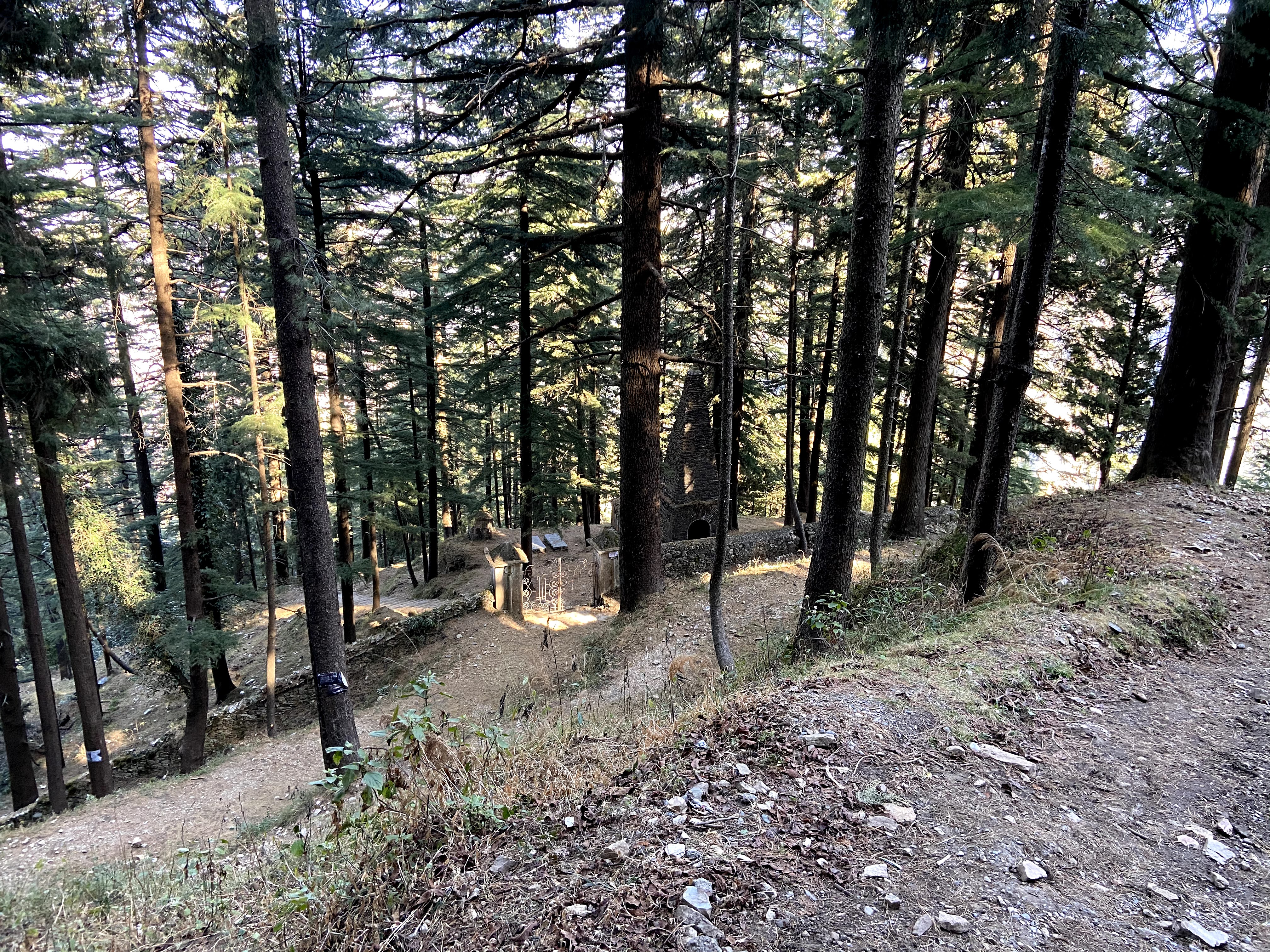 Path leading to cemetery